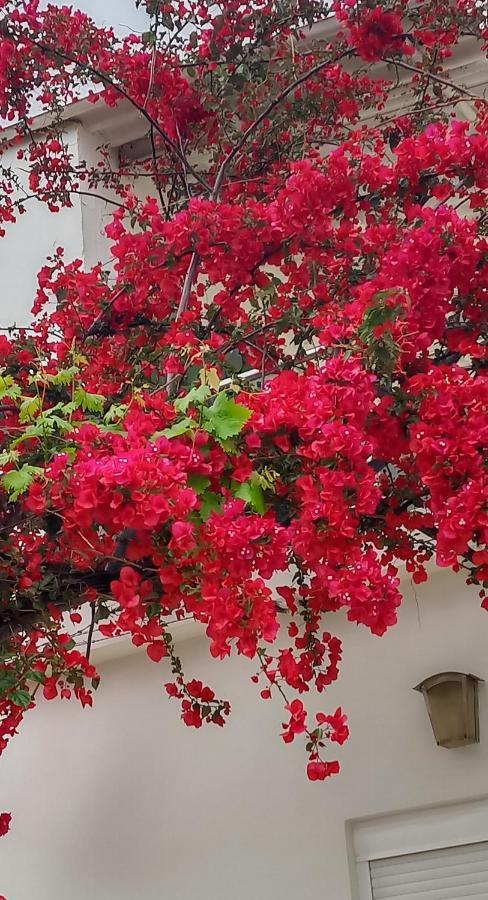 Stamatias Home, Fully Equipped Cottage 5 Minutes From The Sea 干尼亞 外观 照片